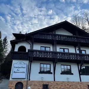 Pension Zur Hammermuehle Wallenfels